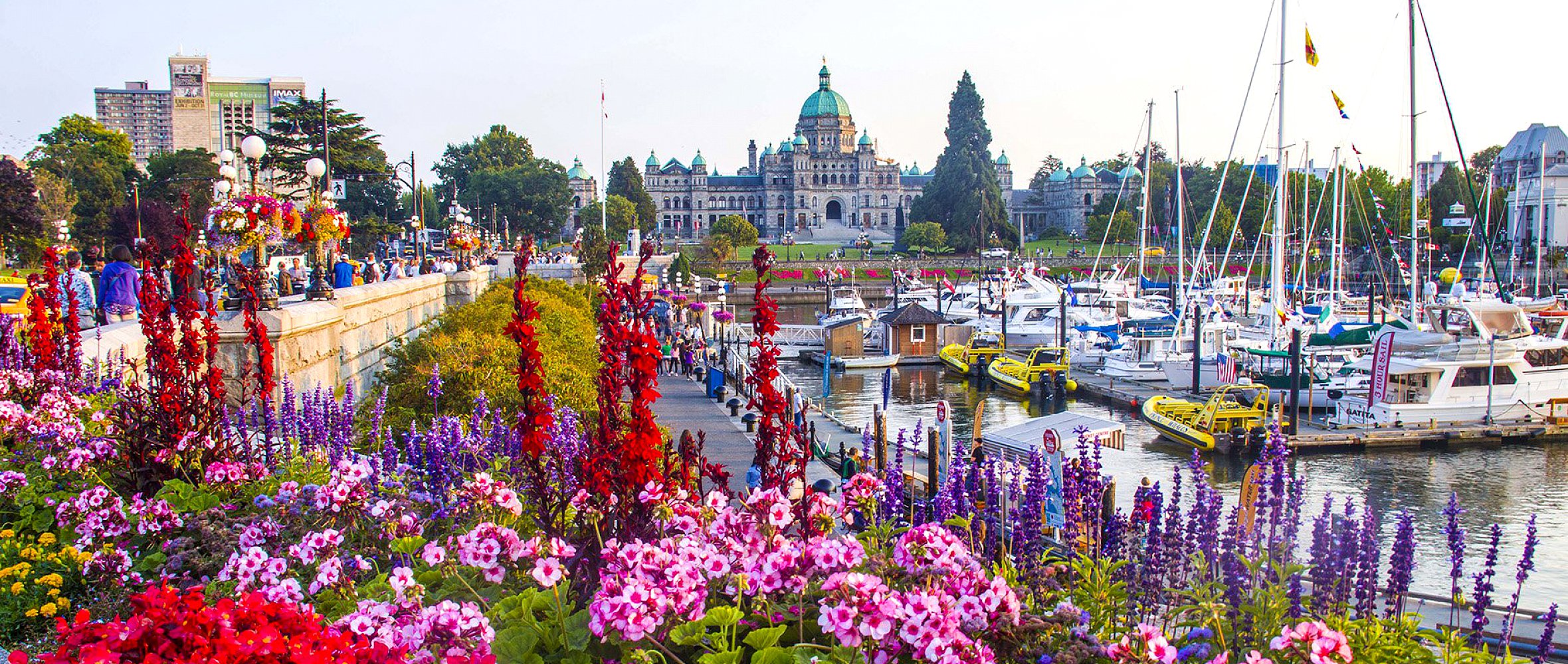 About Us Williams Auto Sales